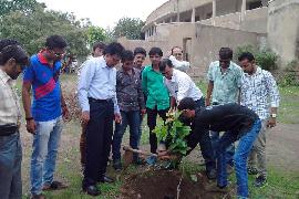 Vruksharopan 6-8-2014 